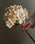 Hydrangea Stem, Nature, Artificial Flower