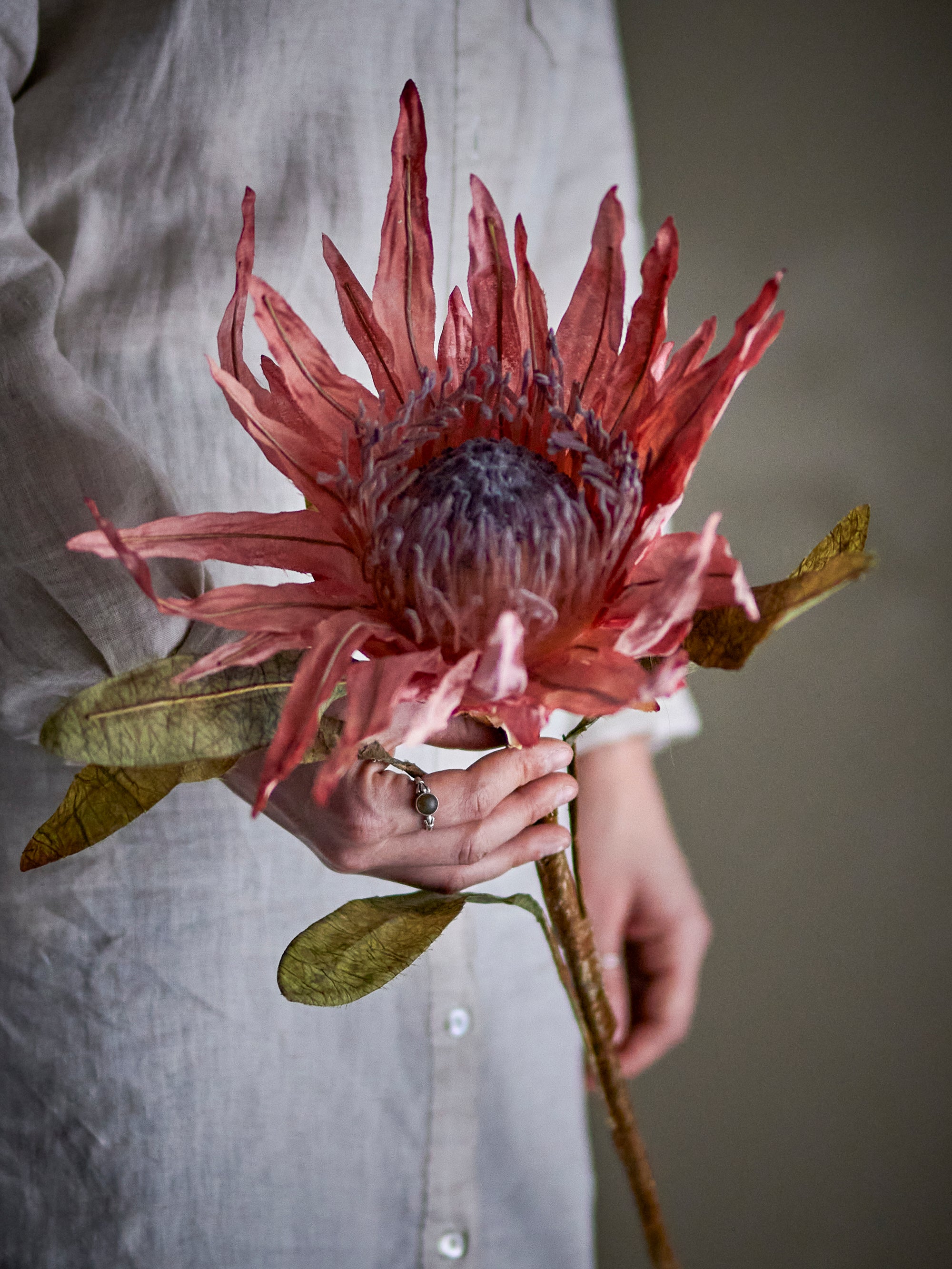 Protea Stem, Rose, Artificial Flower