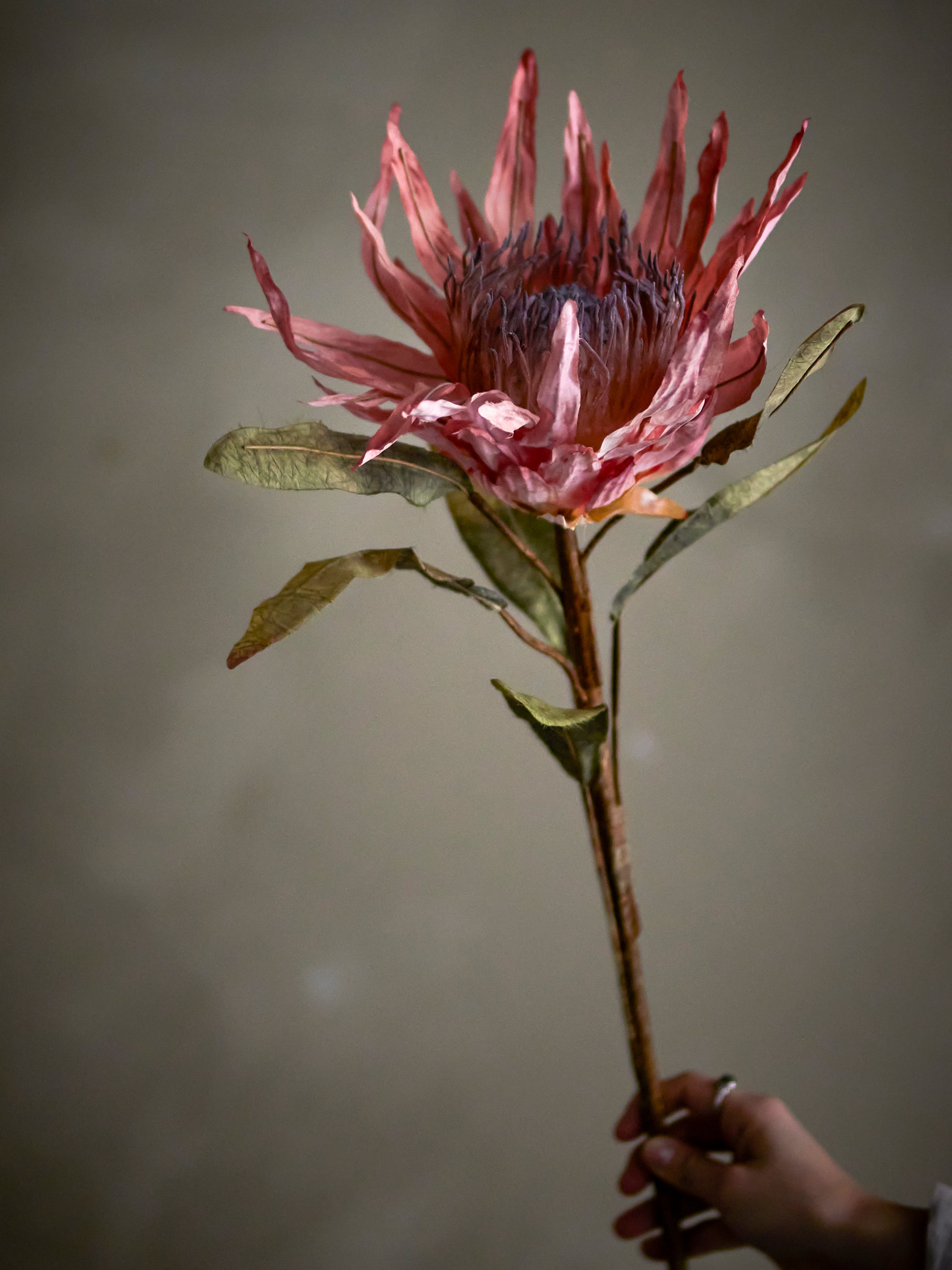 Protea Stem, Rose, Artificial Flower