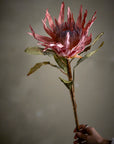 Protea Stem, Rose, Artificial Flower