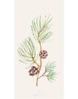 Napkin pine branch w/cones 16 pcs per pack