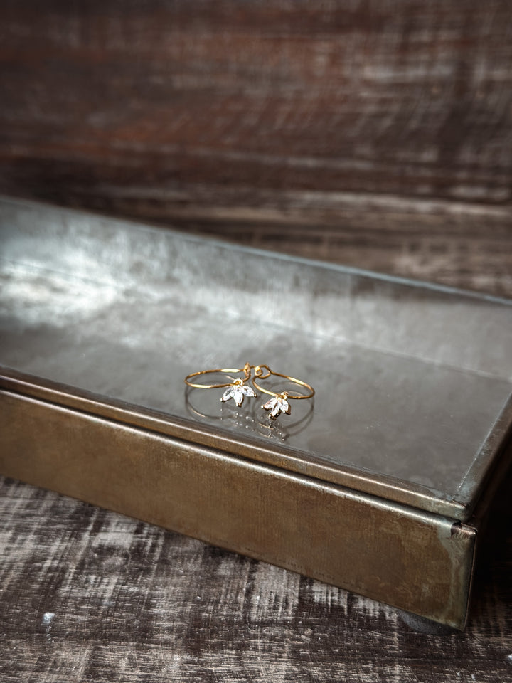 Stainless steel hoop earrings with set