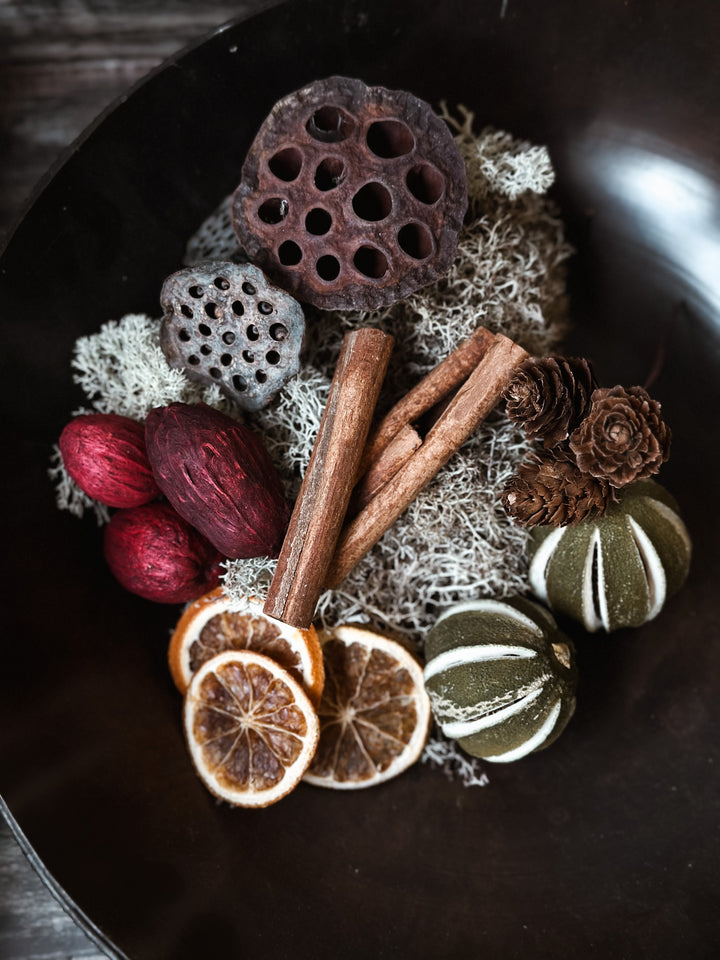 Christmas Botanicals - Amra Pod - Burgundy