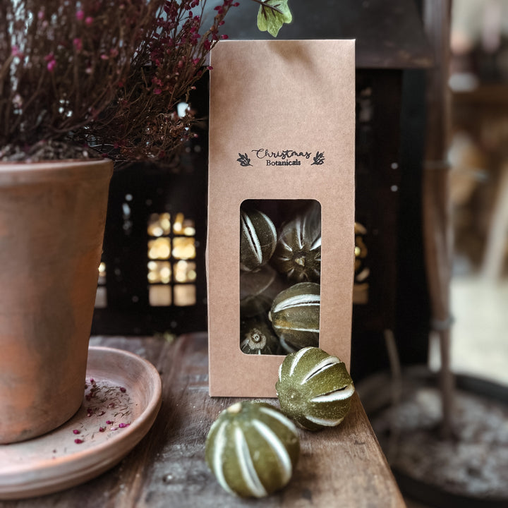 Christmas Botanicals - Whole Dehydrated Limes