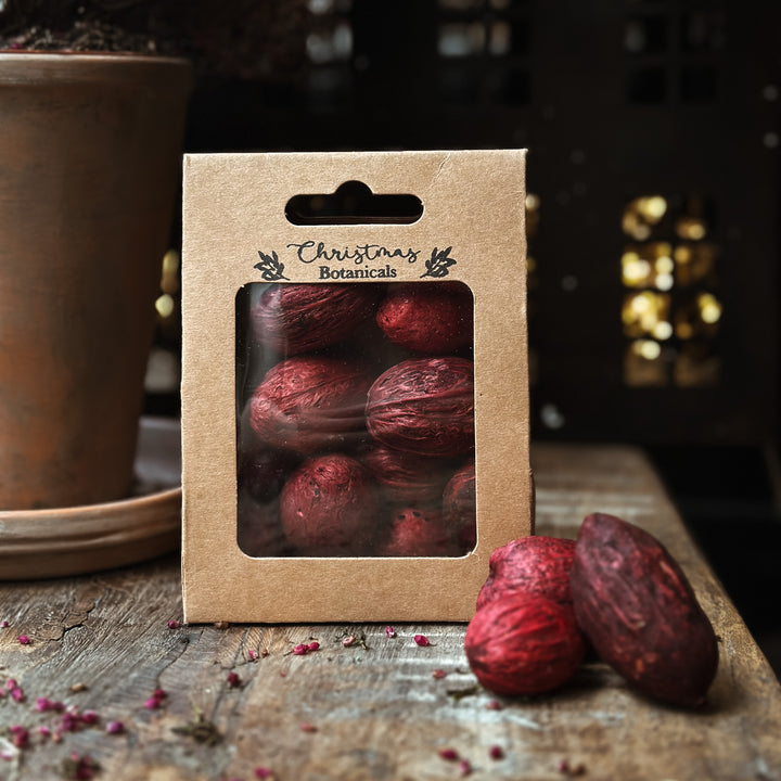 Christmas Botanicals - Amra Pod - Burgundy
