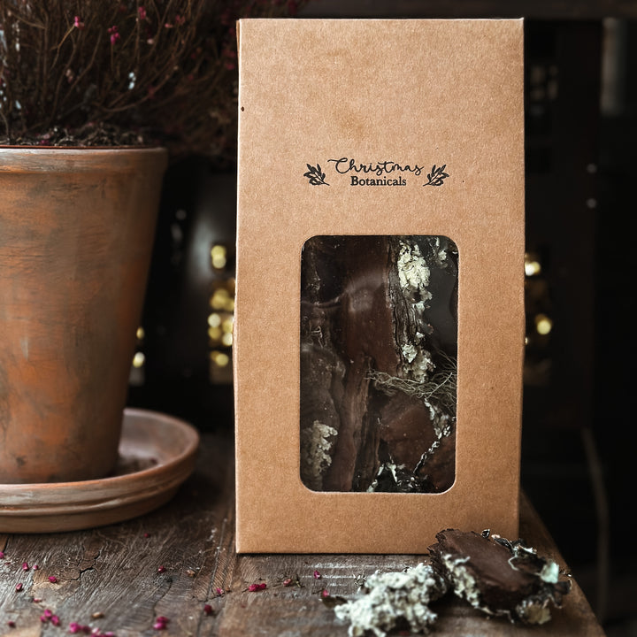 Christmas Botanicals - Bark with moss