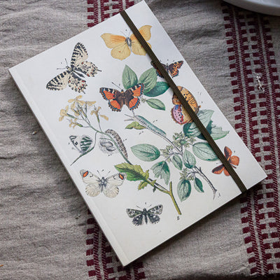 Notebook A5 - Butterflies