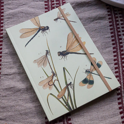 Notebook A5 - Dragonflies