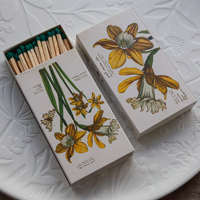 Matchbox - Daffodils