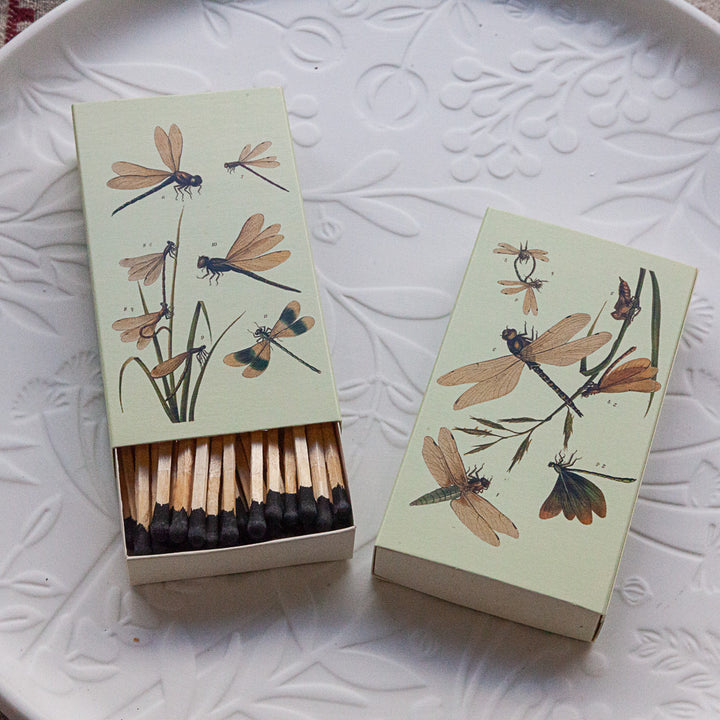 Matchbox - Dragonflies