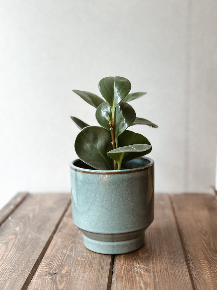 Vase Nordic