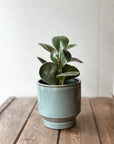 Vase Nordic