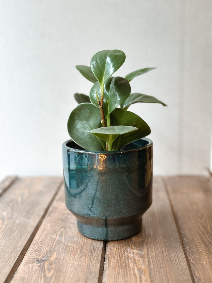 Vase Nordic
