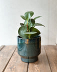 Vase Nordic