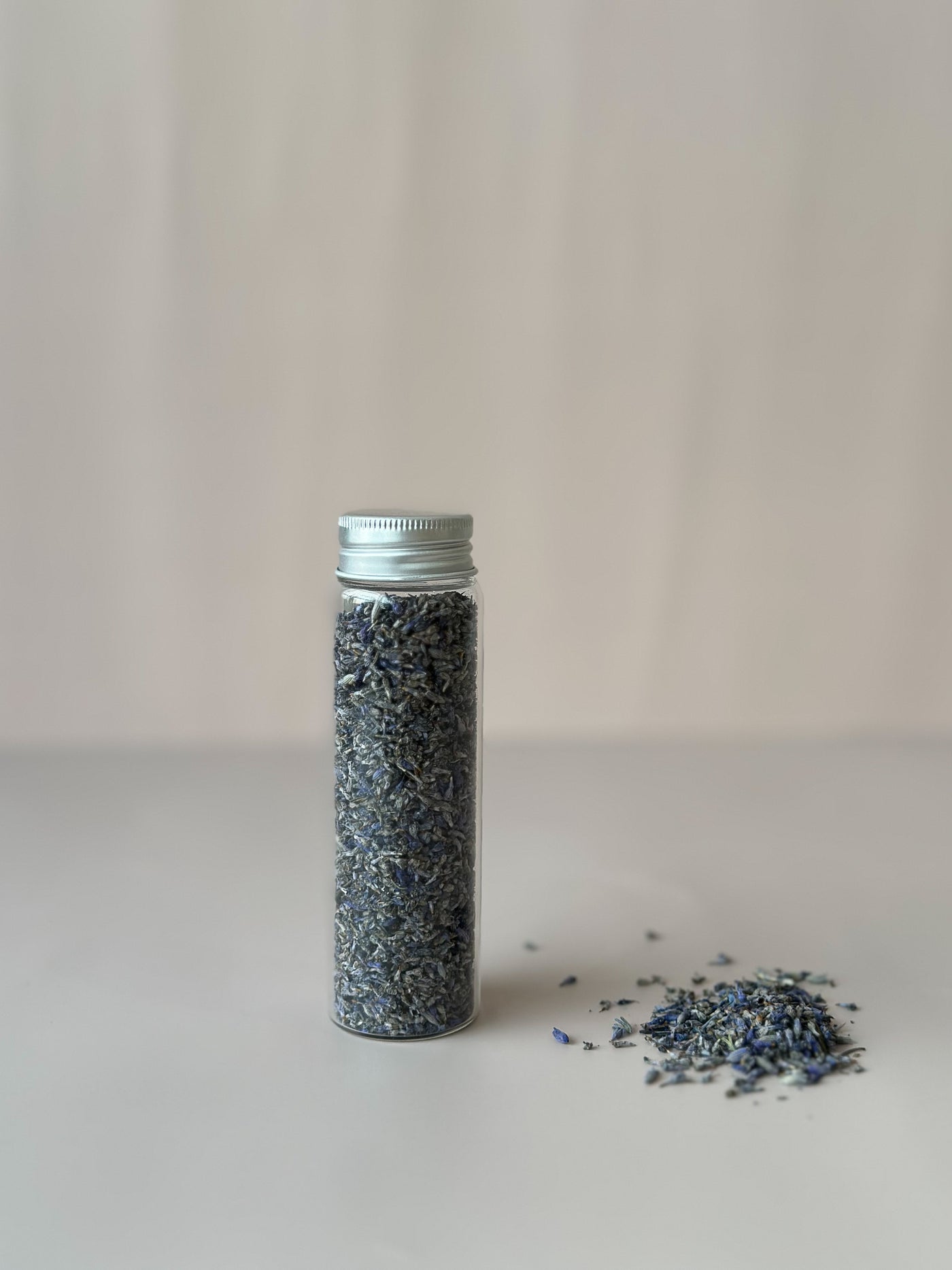 Botanic Treasures - Dried blue lavender