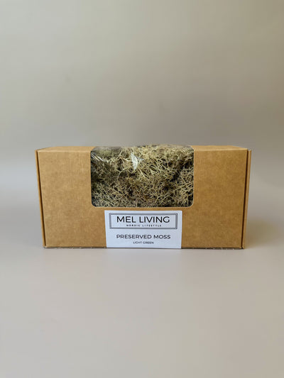 Preserved Moss