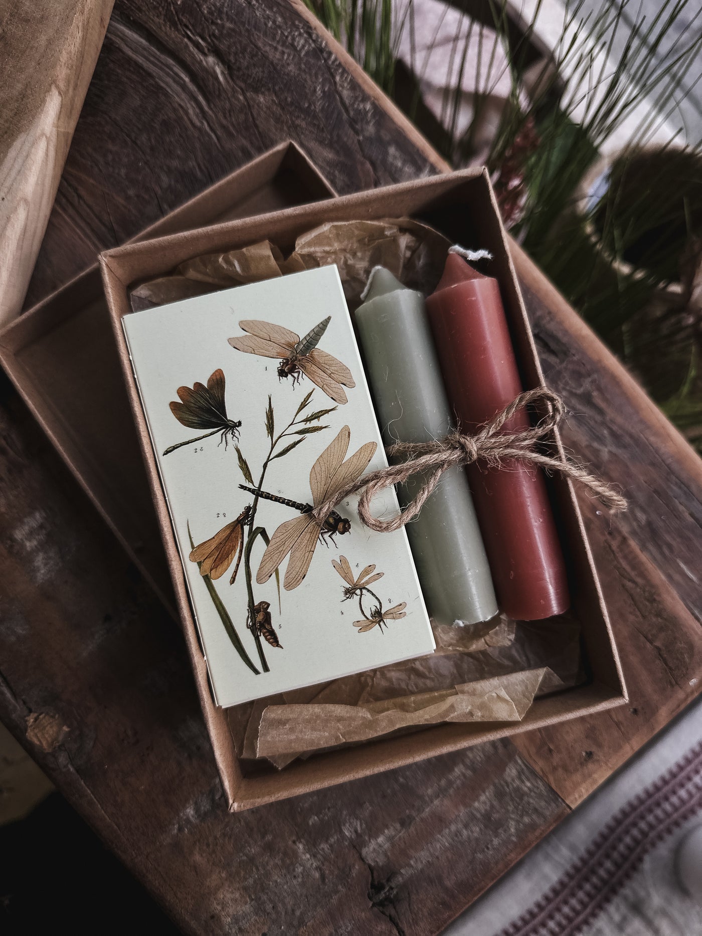 Gift Box Candle Dragonflies