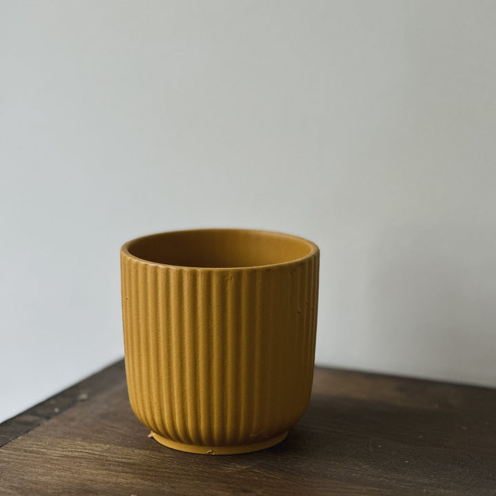 Summer pot