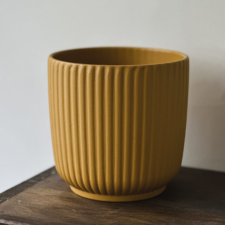 Summer pot