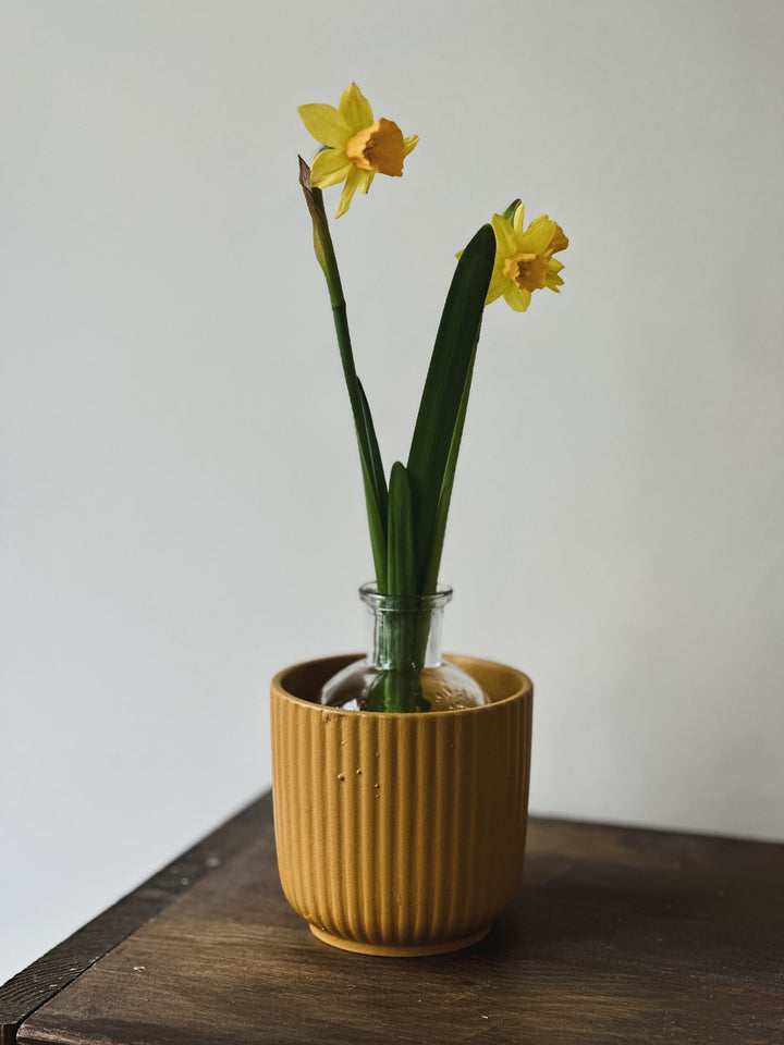 Summer pot