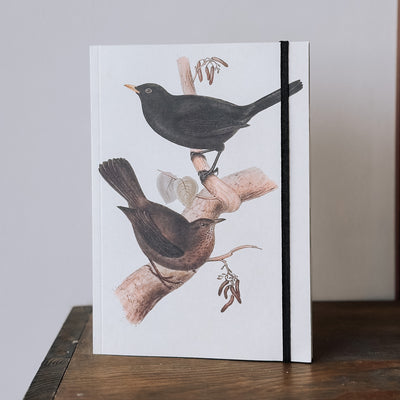 Notebook A5 - Birds