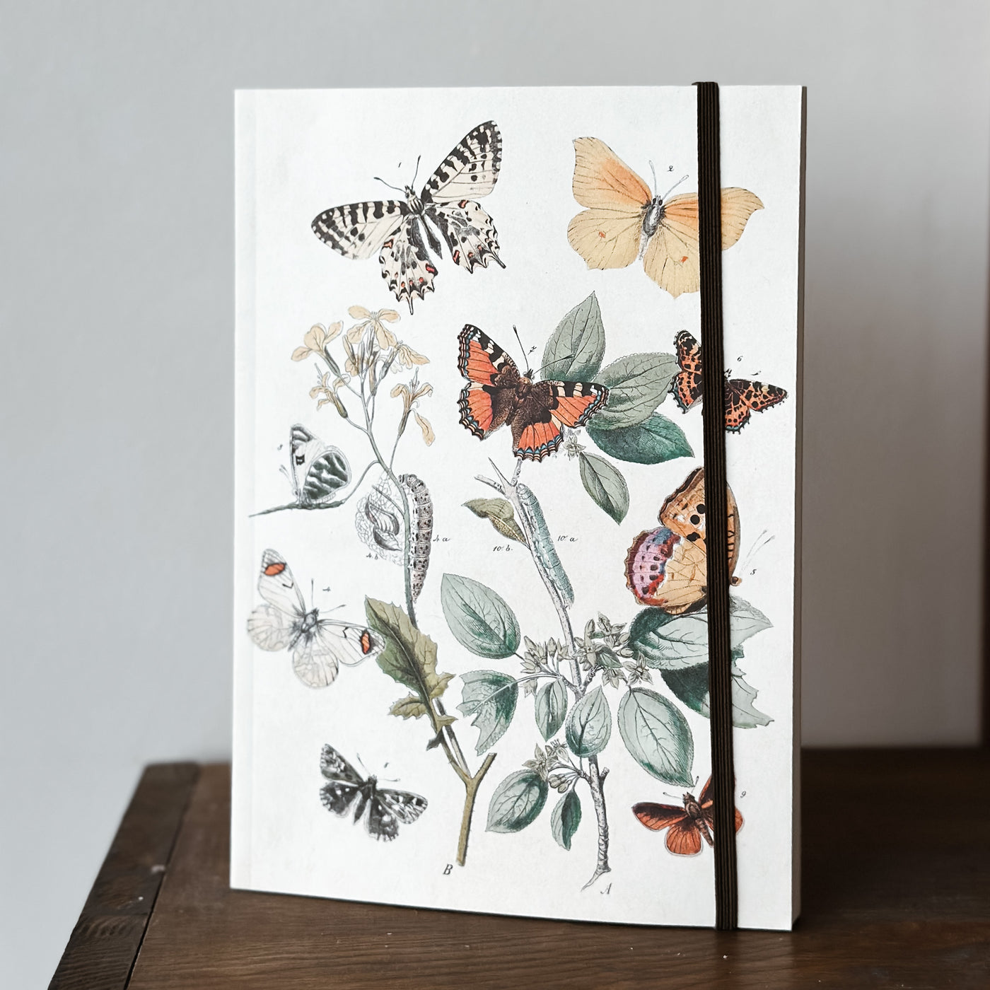 Notebook A5 - Butterflies