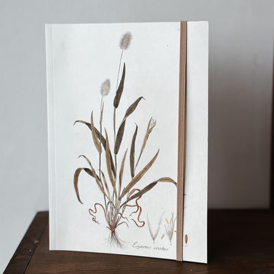 Notebook A5 - Hare's-tail Grass