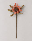 Protea Stem, Rose, Artificial Flower