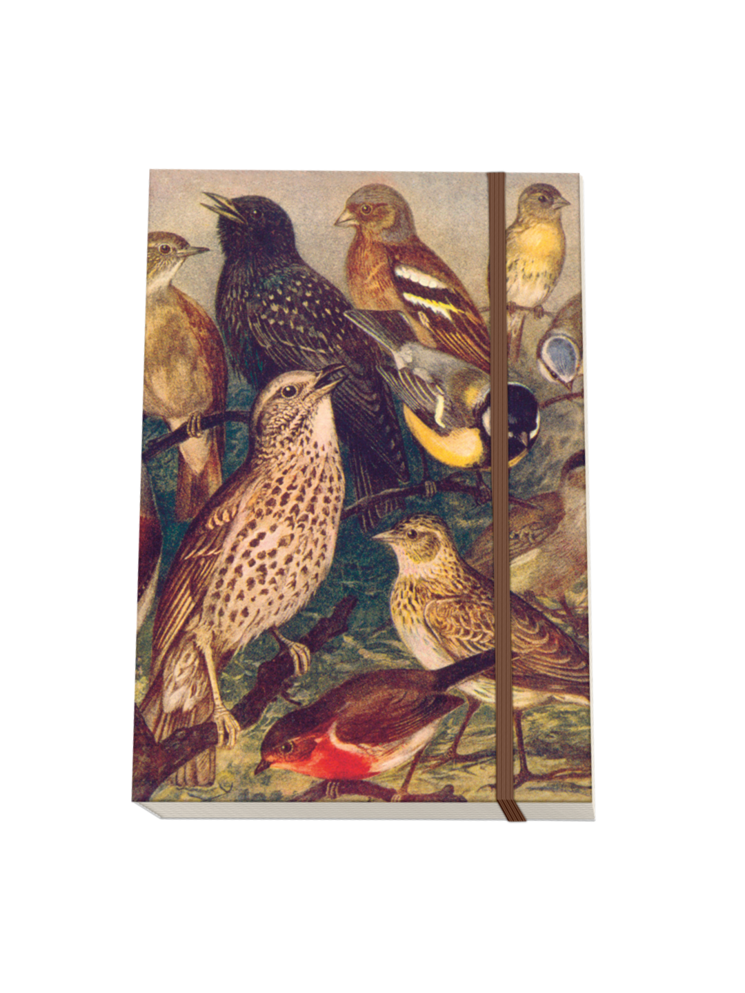 Notebook - Vintage Birds