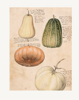 Poster - Anno 1550, 18x24 cm