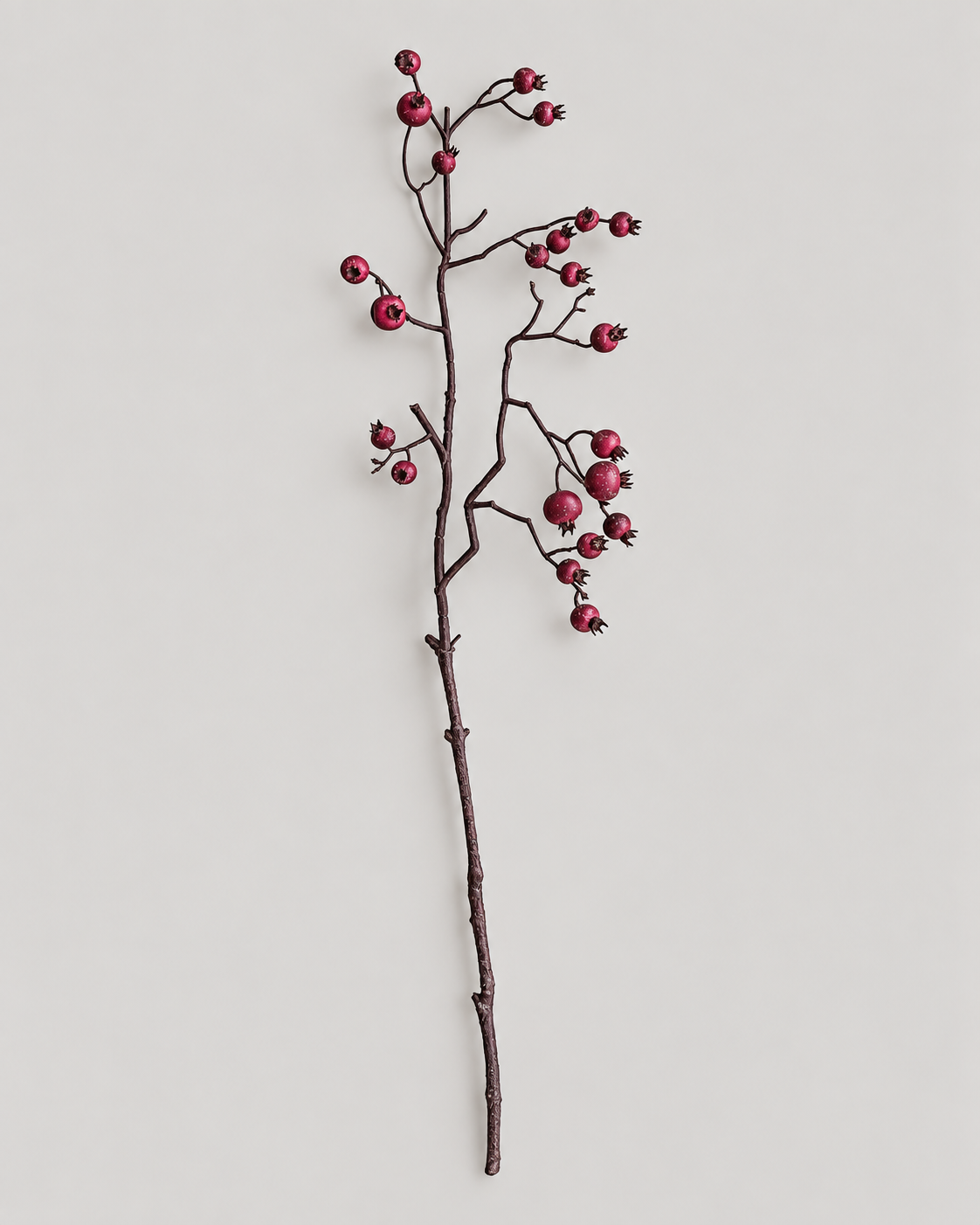 Matte Red Berries Branch