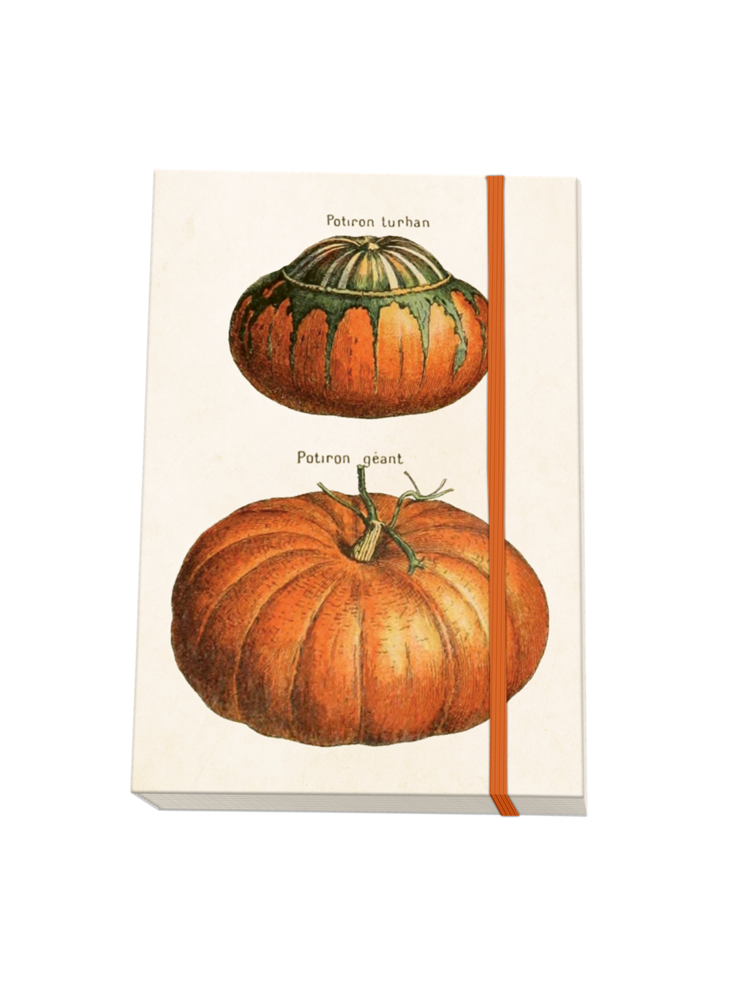 Notebook - Vintage Pumpkins