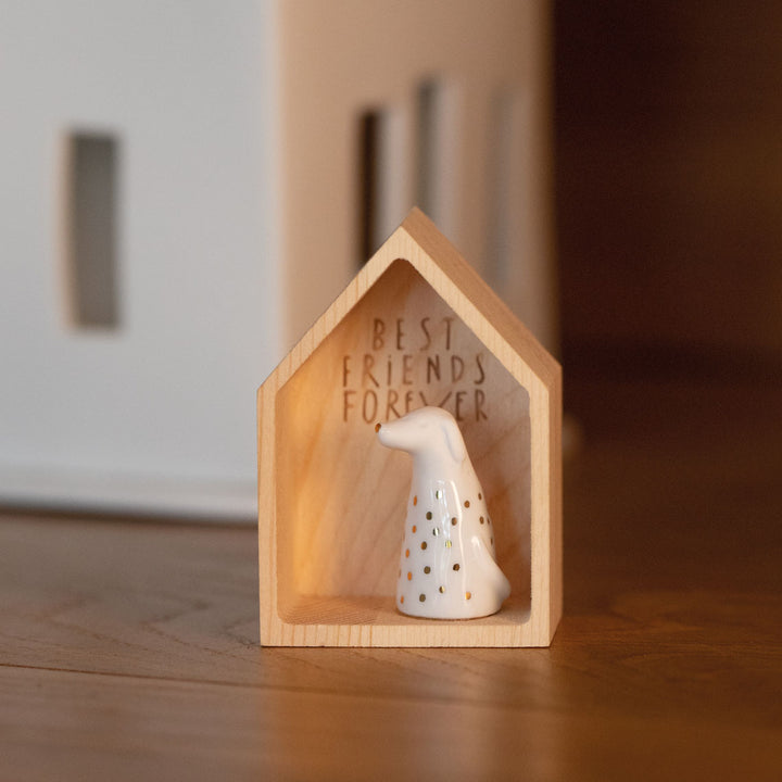 Pequena casa para a amizade