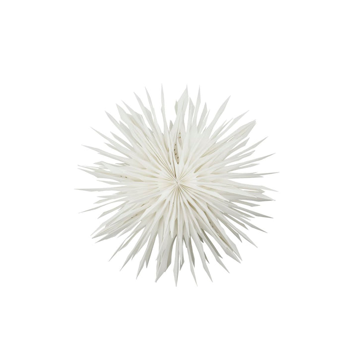 Estrela Papel Reef Off-White