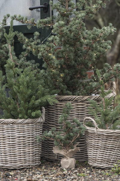 Ib Laursen cedar fake with jute pot