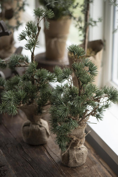 Ib Laursen cedar fake with jute pot