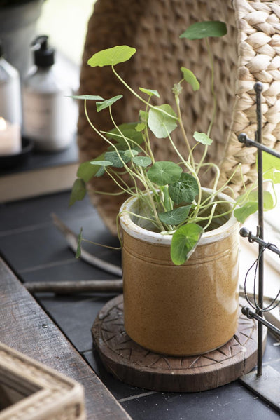 Jar cylindrical large UNIQUE
